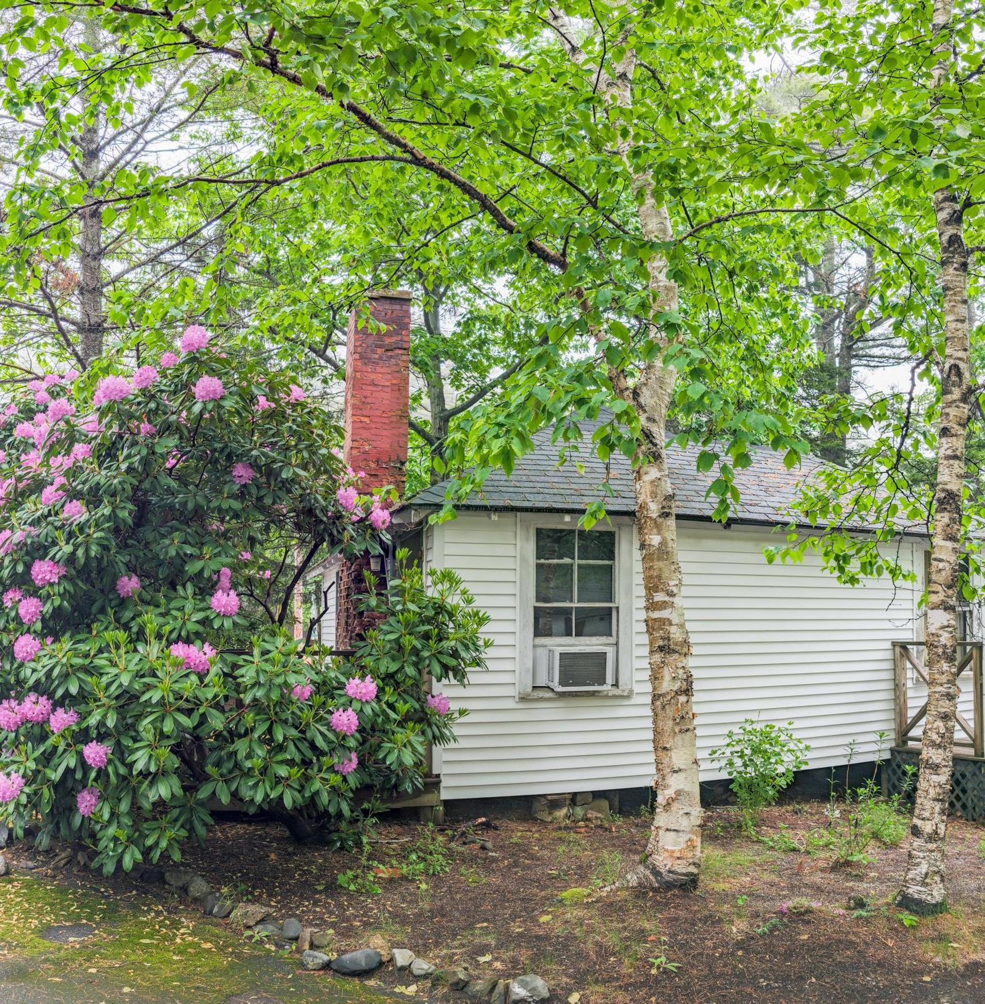 Hinckleys Dreamwood Cottages Bar Harbor Exterior foto
